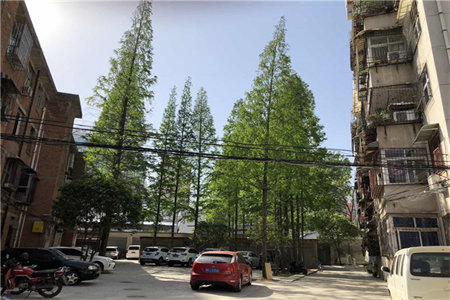 榭是什么建筑